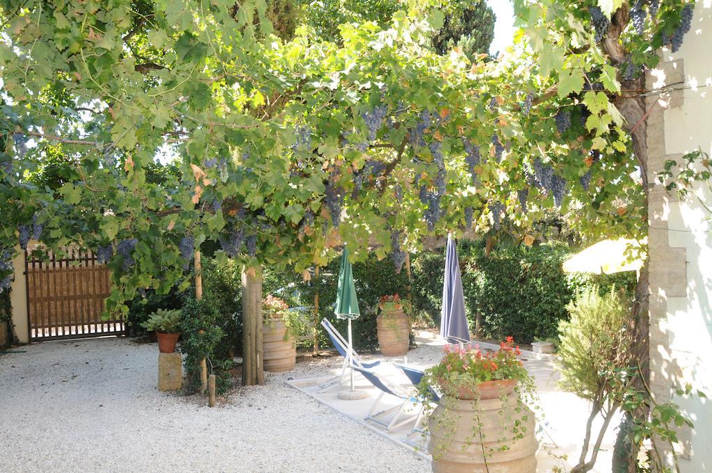 Casa Lemmi Guest House San Quirico d'Orcia Bagian luar foto