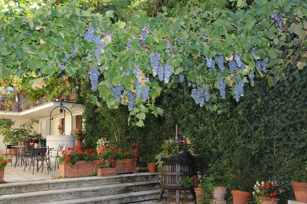 Casa Lemmi Guest House San Quirico d'Orcia Bagian luar foto