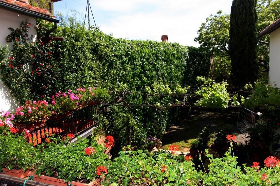 Casa Lemmi Guest House San Quirico d'Orcia Bagian luar foto